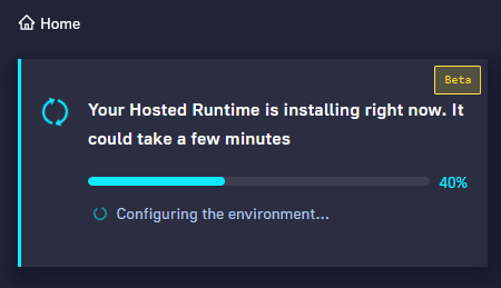 Enabled hosted runtime