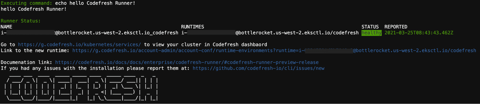Codefresh Runner installer